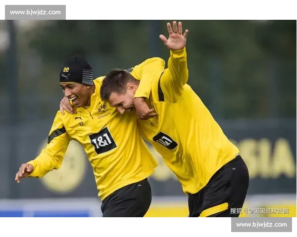 海登海姆主场迎战杜伊斯堡焦点对决前瞻与胜负走势分析深度解读